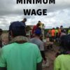 YOU NEED TO KNOW YOUR LEGAL MINIMUM SALARY FOR PICKERS IN AUSTRALIA!!
