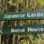 ブリスベンで自然を楽しむ無料観光スポット！日本庭園のある植物園Brisbane Botanic Gardens Mt.Coot-tha！